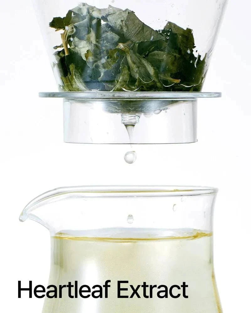 ANUA - Heartleaf 77% Toner Clear Pad 70EA